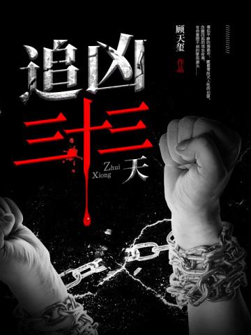 追凶三十三天电视剧