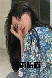 陈默与苏雨桐