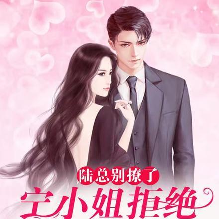 宁小姐陆少