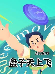 飞盘子技巧