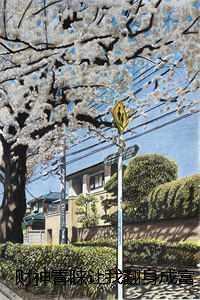财神妻