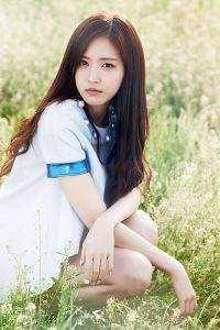未辞翦伐谁能送什么意思