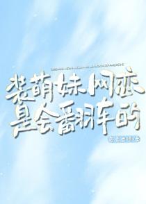 装妹网恋到公司总裁怎么办 作者水词 晋江
