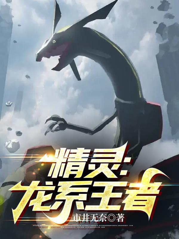 精灵龙系王者全文.txt