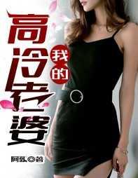 我的高冷老婆陆媛全文免费阅读