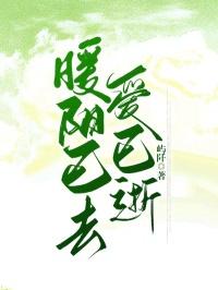 纵情 免费阅读