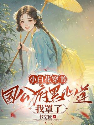 小白花穿书国公府黑心莲我罩了 书空匠