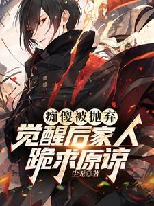江辰苏沐雨