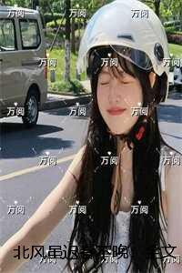 北风虽迟春不晚全文阅读